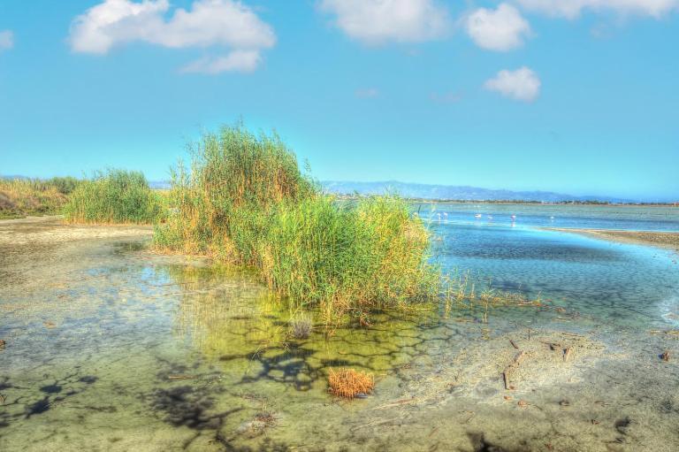 Zen Beach Home Quartu SantʼElena Екстериор снимка